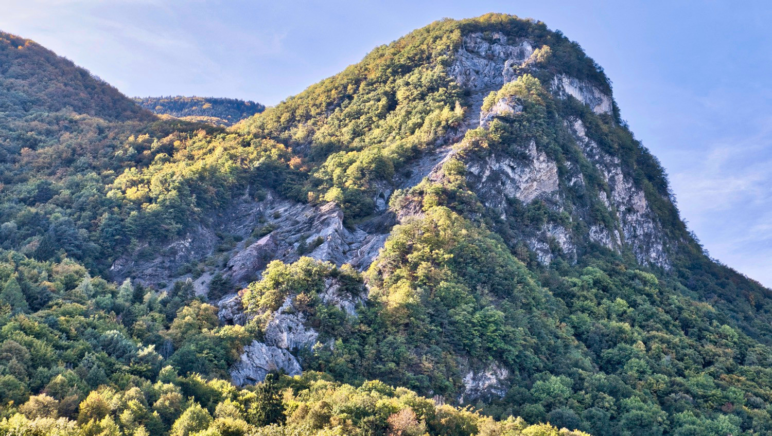 keenon sports® Brosse d'escalade en bois pour escalade et boulder – Brosse  boulder – Poils naturels