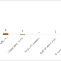 Figure 1 : Types d’évènements principaux en ski de randonnée dans la base SERAC