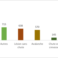 Figure 2 : Causes des secours du PGHM en ski de randonnée de 2008 à 2018 d’après le SNOSM