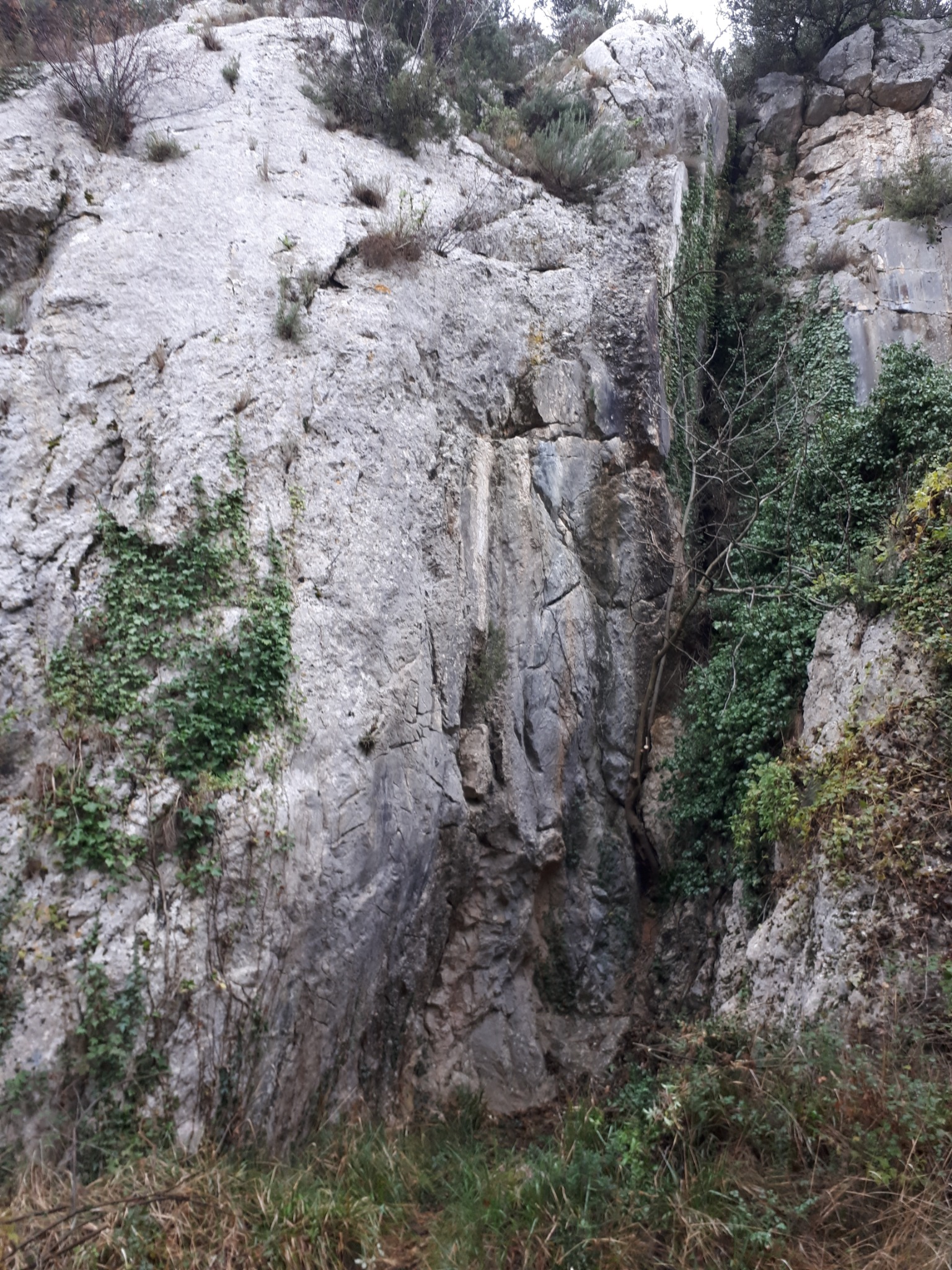 Vue de Siège