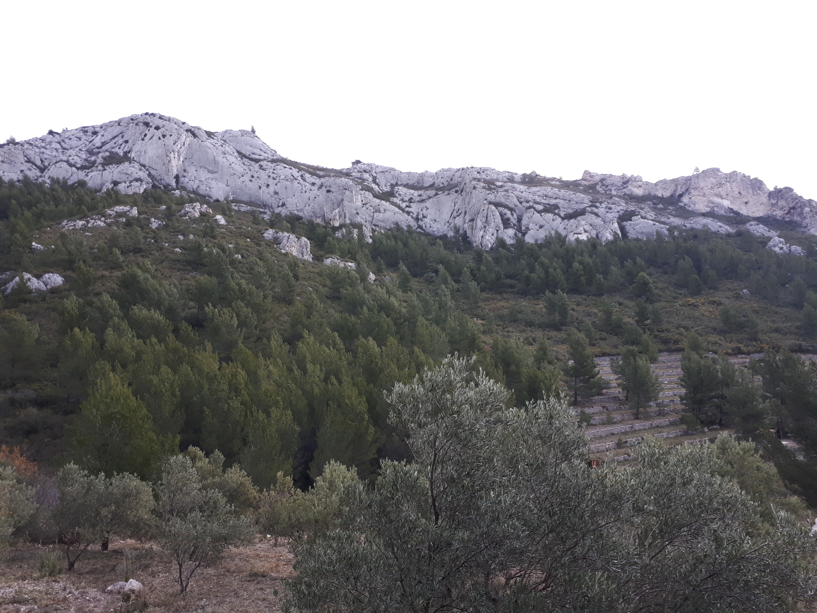 La falaise vue depuis l'extrémité du chemin (citerne)