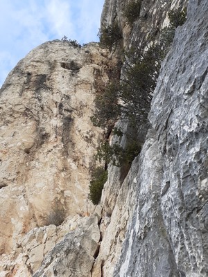 L1 vue de l'attaque L1 vue de l'attaque