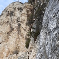 L1 vue de l'attaque