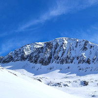 Lombarde N