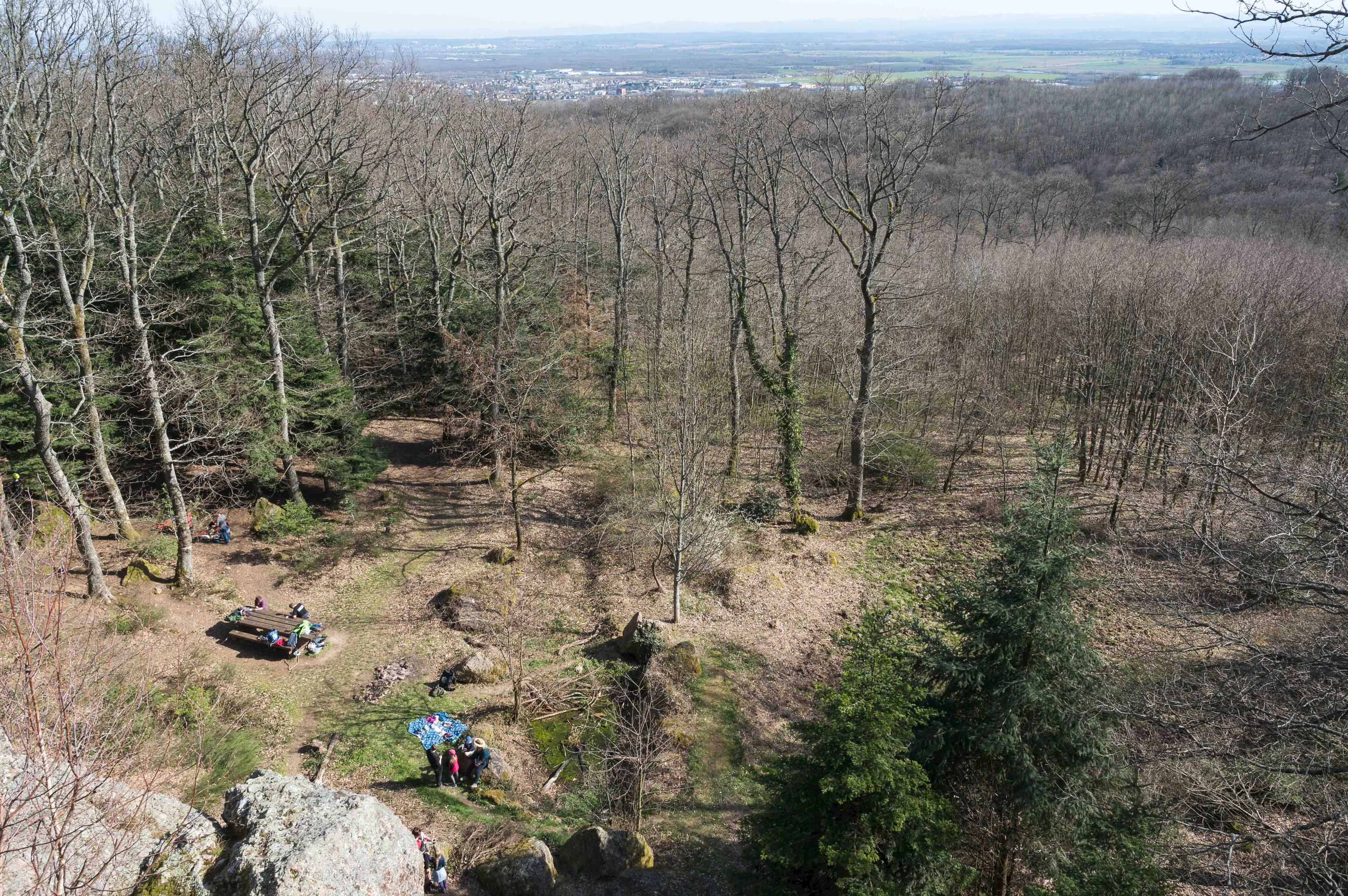 Vue de Steinbach-Hirnelestein