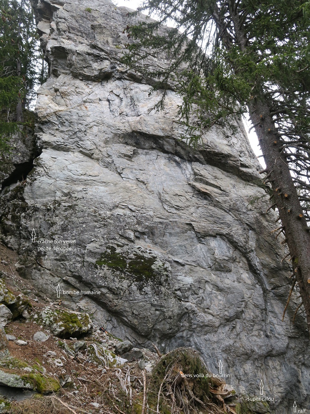 Vue de Monolithe de la Chauffria (La Poya)