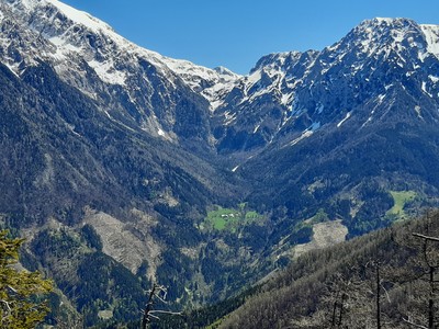 Suhadolnik