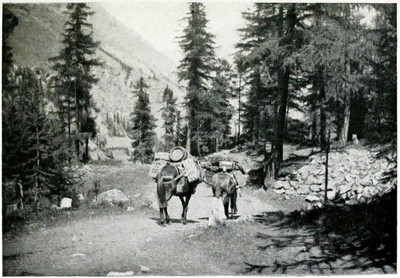 Provisions pour une cabane par Aubrey Le-Blond / Elisabeth Hawkins-Whitshed Provisions pour une cabane par Aubrey Le-Blond / Elisabeth Hawkins-Whitshed