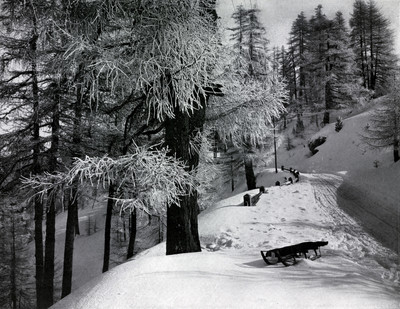 Paysage d'hiver par Aubrey Le-Blond / Elisabeth Hawkins-Whitshed Paysage d'hiver par Aubrey Le-Blond / Elisabeth Hawkins-Whitshed
