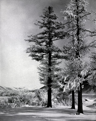 Paysage d'hiver par Aubrey Le-Blond / Elisabeth Hawkins-Whitshed Paysage d'hiver par Aubrey Le-Blond / Elisabeth Hawkins-Whitshed