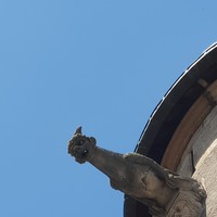 Gargouille du château de Saint-Amant-Tallende - Nina Aubert