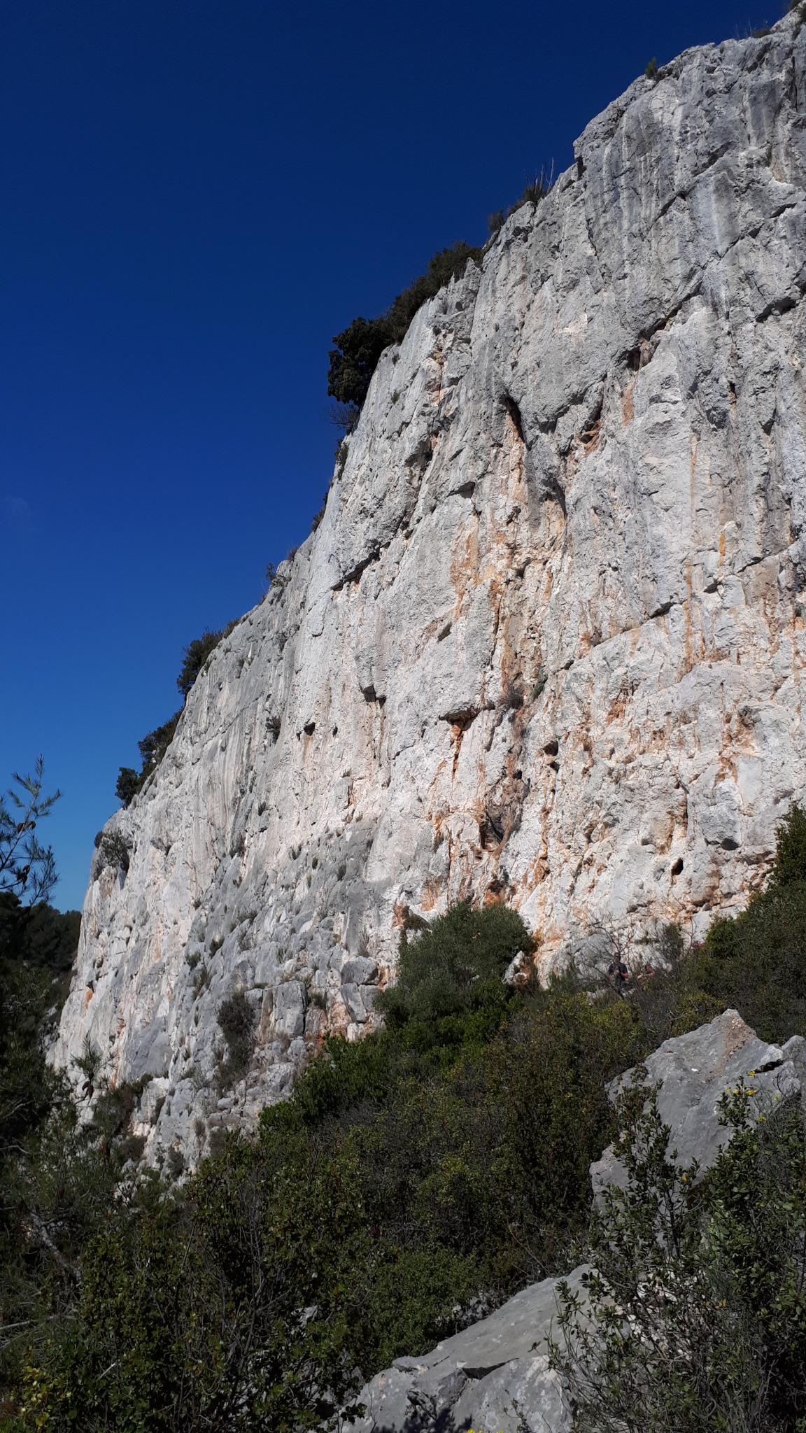 Partie gauche de la falaise