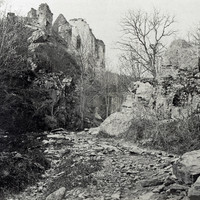 Dussenbach par Braun