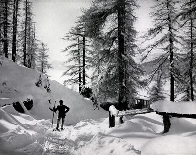 Ski par Aubrey Le-Blond / Elisabeth Hawkins-Whitshed Ski par Aubrey Le-Blond / Elisabeth Hawkins-Whitshed