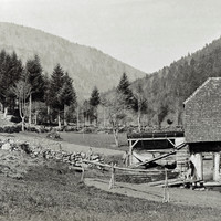 Ferme de Lauchen par Braun