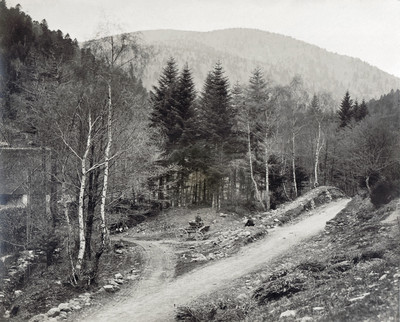 Forêt de Lauchen par Braun Forêt de Lauchen par Braun