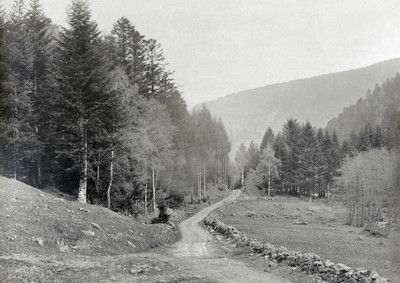 Vallée de Lauchen Vallée de Lauchen