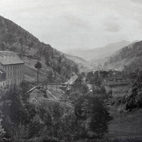 Wildenstein par Braun