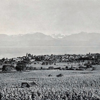 Morges, le Léman et le Mont Blanc par Braun