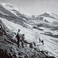 Vers le Glacier des Bossons par Braun