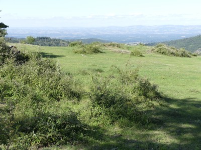 Vue de la vallée côté Loire depuis Saint-Georges-en-Couzan - Noël FB