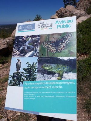 Interdiction du vallon en dessous (2021) Interdiction du vallon en dessous (2021)