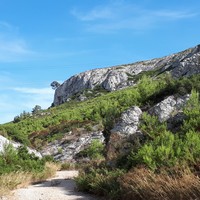 Vue de la grande face depuis la piste d'accès