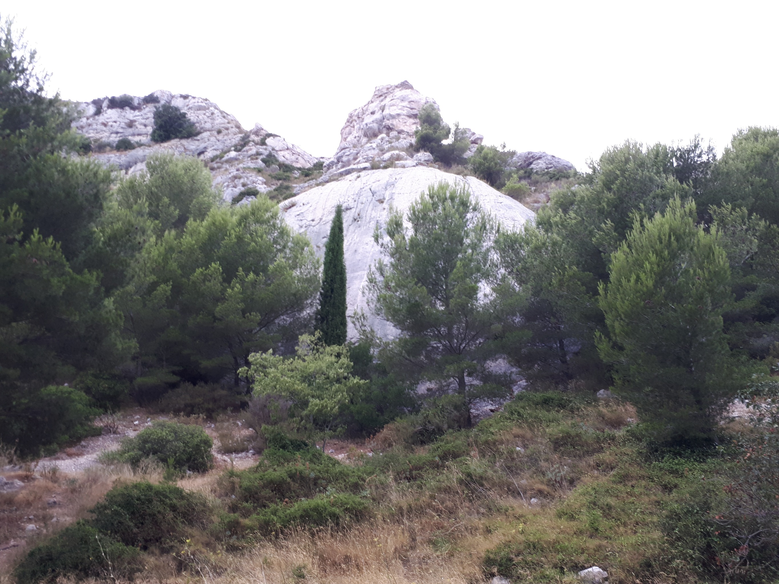 La boule vue depuis la route