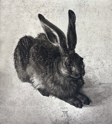 Exemple de reproduction de dessin par Braun: le lièvre de Dürer, tirage au charbon. Exemple de reproduction de dessin par Braun: le lièvre de Dürer, tirage au charbon.