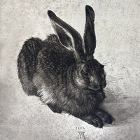 Exemple de reproduction de dessin par Braun: le lièvre de Dürer, tirage au charbon.