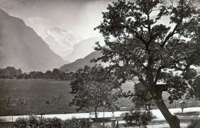 Jungfrau vue d'Interlaken par Braun Jungfrau vue d'Interlaken par Braun