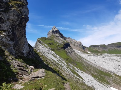 Vue d'ensemble