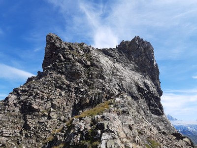 Arête W