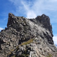 Arête W