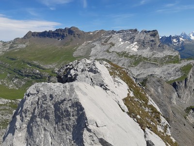 Arête somnitale