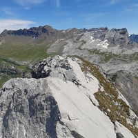 Arête somnitale
