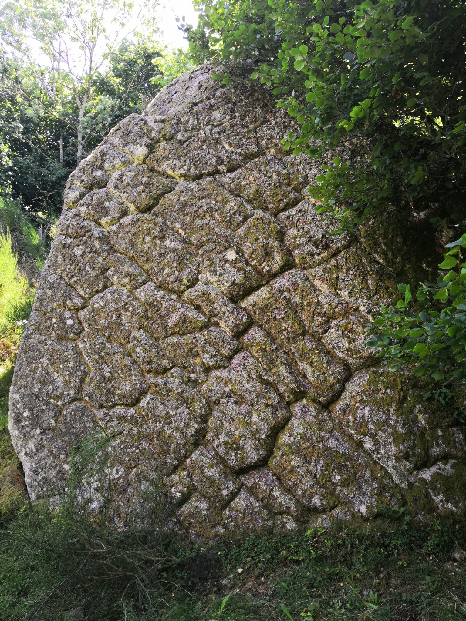 Pierre de Rosette ?? Non, Tripophobie !
