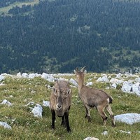 [Concours Photo Sophie 2021] Descente du Grand Veymont