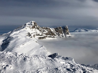[concours photo Sophie 2021] Hiver aux moucherolles
