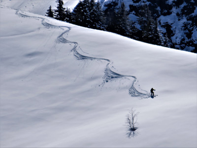 [Concours Photo Sophie 2021] Pointe d'Arpille - dernière trace de printemps
