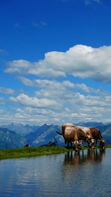 [Concours Photo Sophie 2021] Comme à la buvette