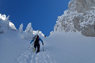 [Concours Photo Sophie 2021] En Chartreuse...