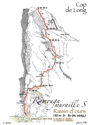 Ramougn Muraille S Raisin d'ours Schéma graphique Ramougn Muraille S Raisin d'ours Schéma graphique