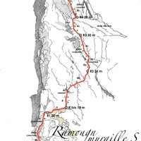 Ramougn Muraille S Raisin d'ours Schéma graphique