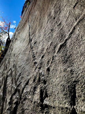 [Concours Photo Sophie 2021] Future Shock (6c), Whitehorse Ledge, New Hampshire.