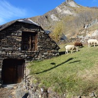 Grange (Vallée de Luz St Sauveur) © E. Jacquin  – Parc national des Pyrénées