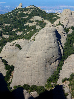 Panxa del Bisbe Panxa del Bisbe