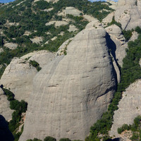 Panxa del Bisbe