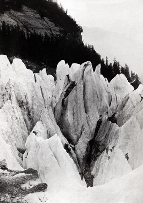 Glacier Inférieur de Grindelwald par Ernest Edwards en 1866