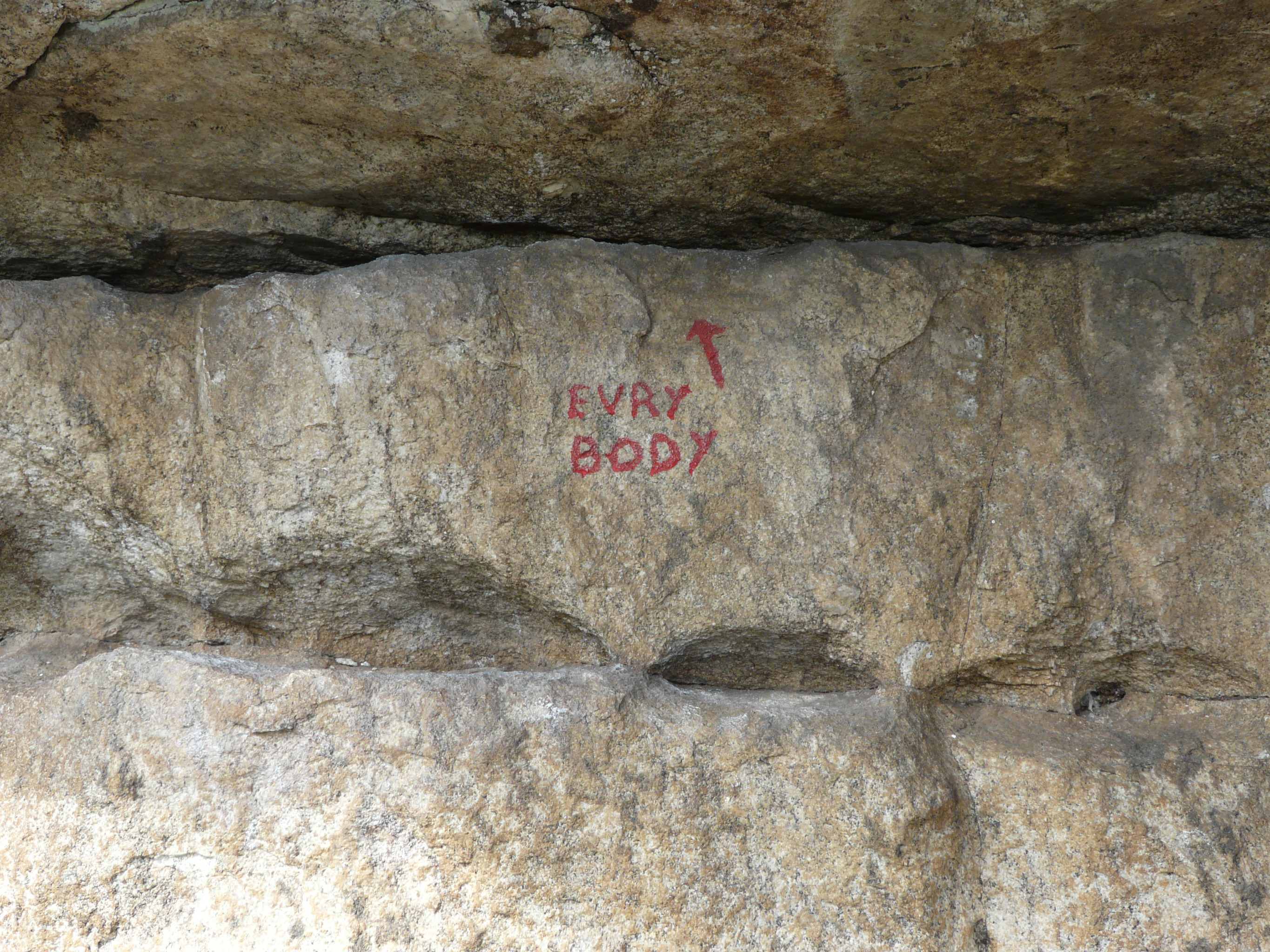 nom de voie : evry body